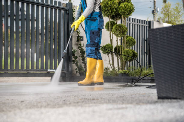 Best Deck Cleaning Services  in Hudson, MI