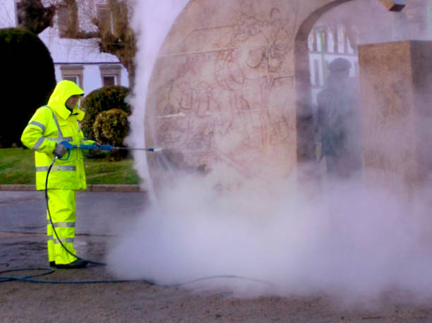 Best Pressure Washing Patio  in Hudson, MI