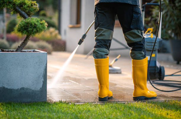 Best Roof Pressure Washing  in Hudson, MI